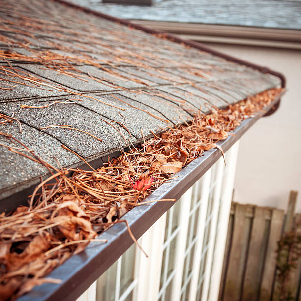 Gutter Cleaning